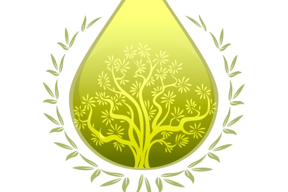 Olive Oil Label Or Emblem