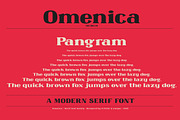 Omenica - Serif font Family, a Serif Font by Artistic & Unique (Thumbnail 12 of 12)