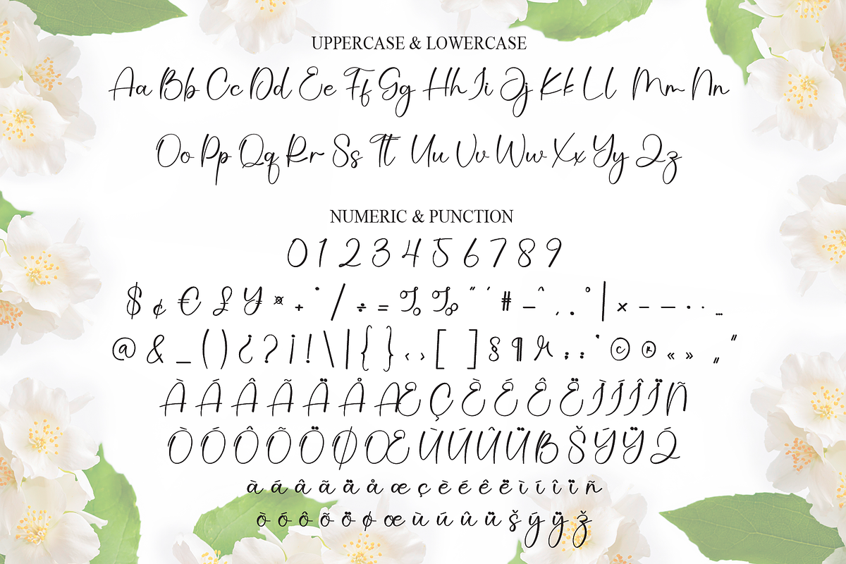 Jasmine | Script Font, a Handwritten Font by Scratchones (Photo 7 of 9)