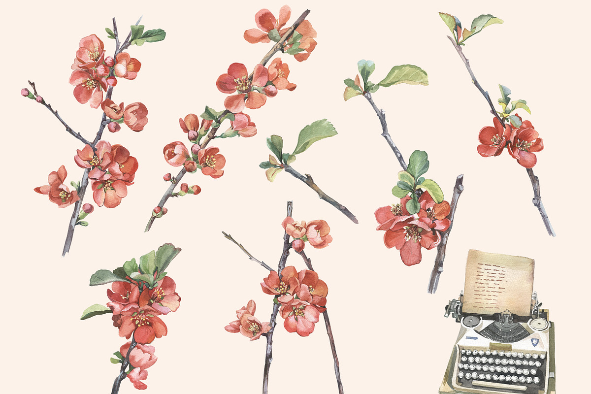 Watercolor collection of quince, a Decorative Illustration by My art shop (Photo 2 of 2)