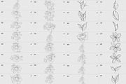 Procreate flower stamp, garden, a Brush Add-On by AnnaPolitmerskaja (Thumbnail 3 of 4)