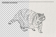 Raccoon sketches PNG, an Animal Illustration by LOKSKIH (Thumbnail 2 of 4)