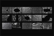 MEGA BUNDLE 2400+ Overlays, a Texture Graphic by Kaleriia (Thumbnail 195 of 300)