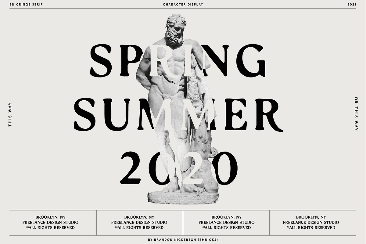 Cringe Serif, a Serif Font by Bnick (Photo 10 of 13)