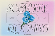 Samory Typeface, a Sans Serif Font by alit design (Thumbnail 12 of 15)