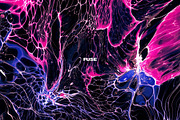 Fuse: Abstract Paint Textures, a Texture Graphic by Chroma Supply (Thumbnail 9 of 15)