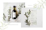 Olives – Watercolor & Line Art, a Decorative Illustration by Liliia Polos Illustration (Thumbnail 7 of 12)