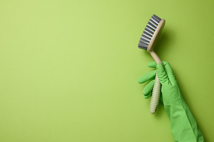 hand in a green rubber glove holds a plastic cleaning brush on a, a Photo by ndanko