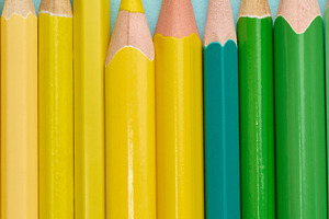 Close-up of a row of green and yellow wooden pencils, a School & Education Photo by ndanko