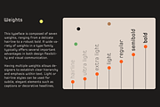 Spoon, a Sans Serif Font by Dharma Type (Thumbnail 4 of 9)
