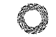Ocean Marine Animal Silhouette, an Illustration by Amazin_art (Thumbnail 24 of 31)