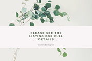 Influencers Guide Instagram Collabs, a Social Media Template by Masters of Instagram (Thumbnail 7 of 8)