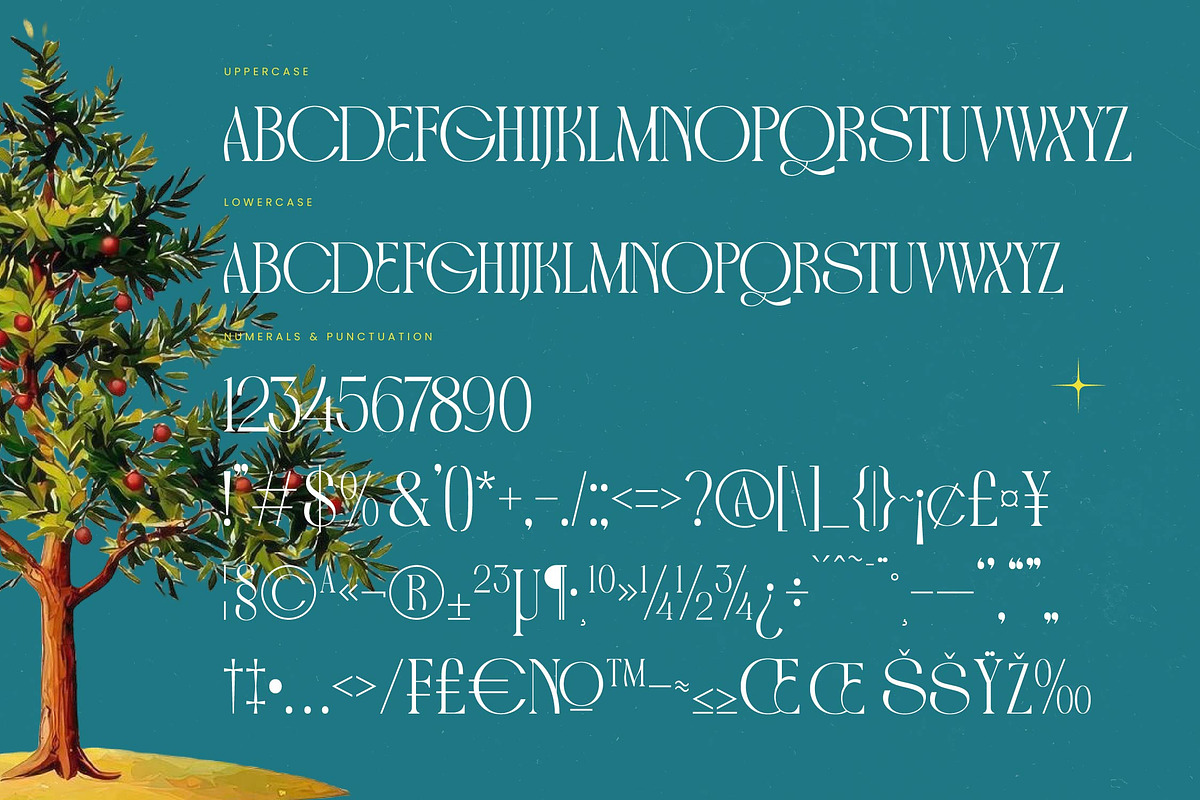 Havens Brooke Editorial Serif, a Serif Font by timelesstype.co (Photo 18 of 20)