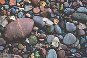 NATURAL MATTE, a Nature Photo by KABSPHOTOGRAPHY (Thumbnail 7 of 11)