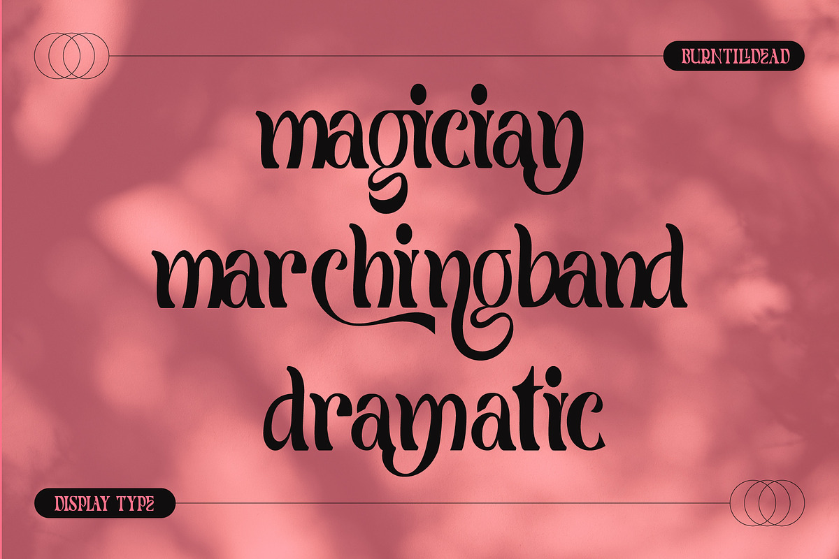 Monde - 100 Ligatures, a Serif Font by Burntilldead (Photo 10 of 16)