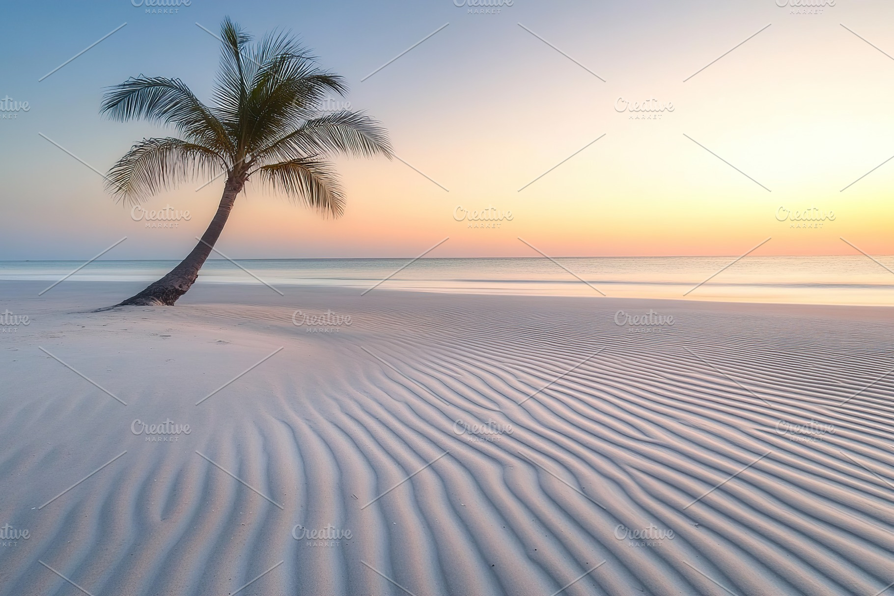Serenity at sunrise on a tranquil beach with gentle waves and a lone palm tree, a Nature Photo by AlyaAnd