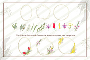Watercolor Koala Collection, an Illustration by TanataDesign (Thumbnail 6 of 10)