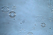 Water Drops, a Texture Graphic by MHLY (Thumbnail 3 of 5)
