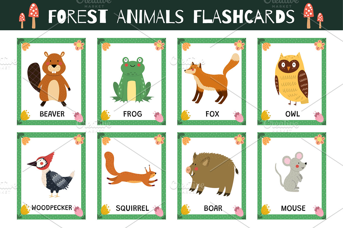 Flashcards for Kids Bundle: 570 in 1, an Education Illustration by Gulnara Sabirova (Photo 16 of 48)