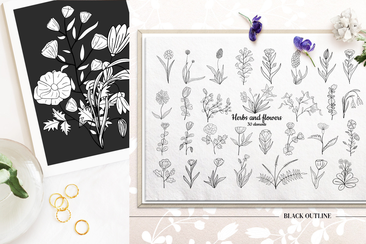 Botanical Wildflowers. Patterns, an Illustration by Diana Kovach (Photo 2 of 11)