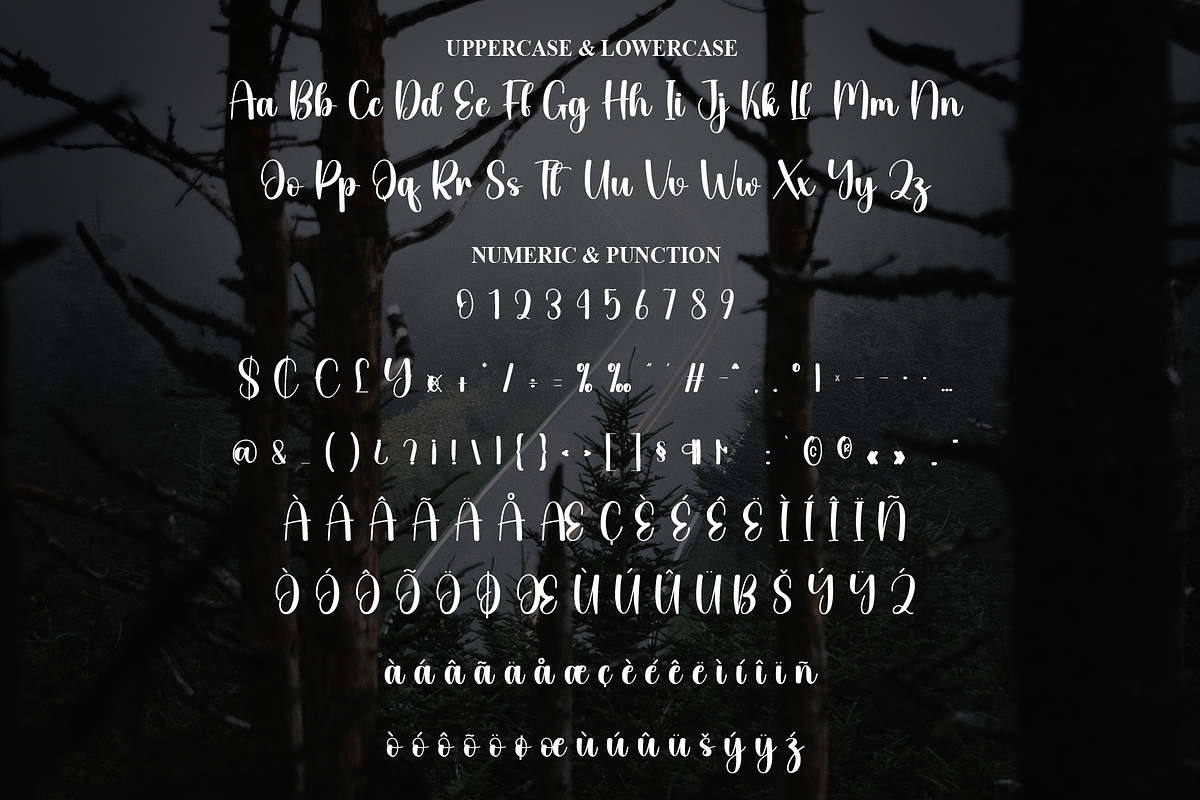 Spooky | Script Font, a Handwritten Font by Scratchones (Photo 7 of 8)