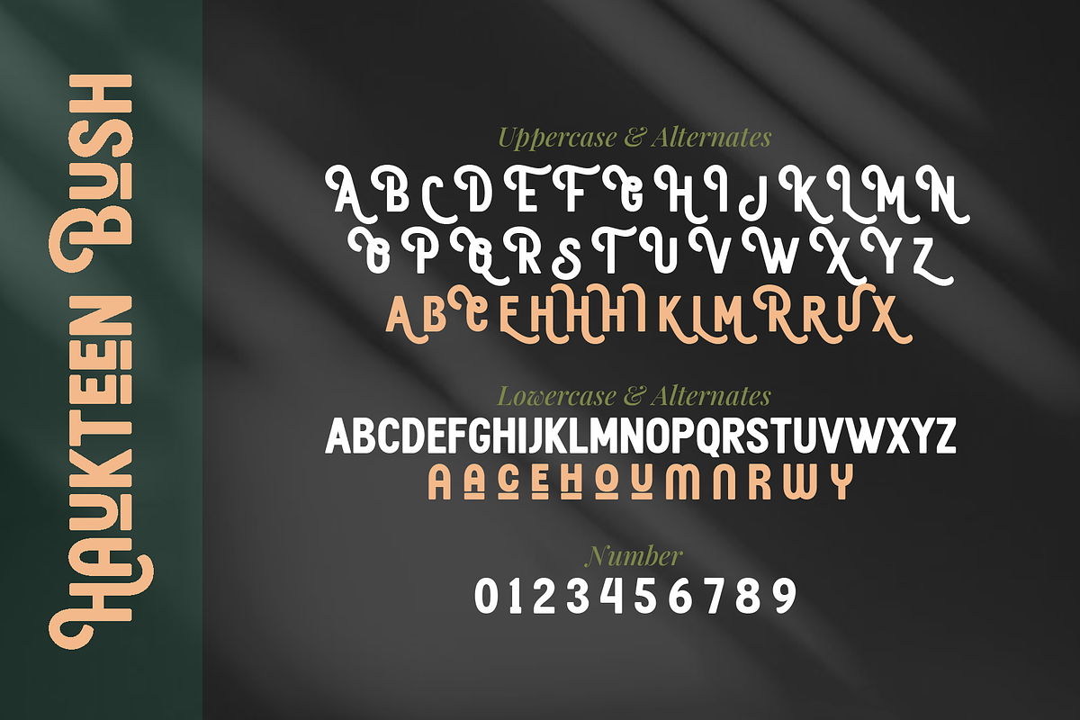Haukteen Bush – Decorative Font, a Sans Serif Font by Vampstudio (Photo 12 of 13)