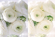 17 Pastel Lightroom Presets, an Action Add-On by Creative Shop (Thumbnail 3 of 3)