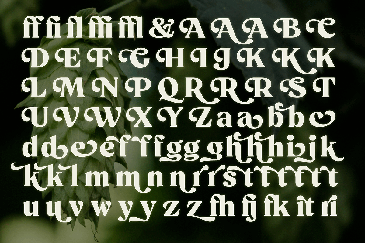 Beckenham Retro Serif, a Font by Fenotype (Photo 11 of 14)