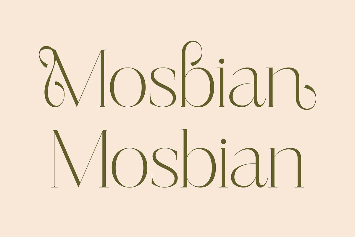 Mosbian Modern Serif Font, a Serif Font by Letterena Studios (Photo 4 of 15)