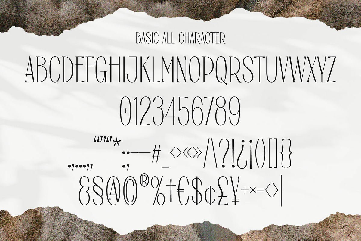 Regysca Elegant Modern Serif Font, a Serif Font by Kulokale (Photo 9 of 10)