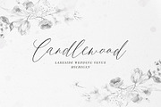 Bella Luna | Feminine Script Font, a Script Font by Pink Coffie (Thumbnail 27 of 30)