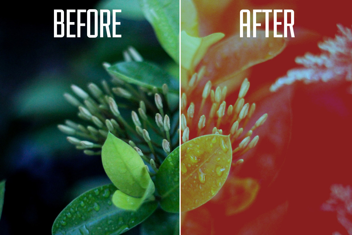 Filmtastic RedShift PS Film Actions, an Action Add-On by Josh Johnson (Photo 4 of 5)