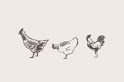 Set of a hand drawn chickens, an Animal Illustration by TheMountBirdStudio (Thumbnail 5 of 5)