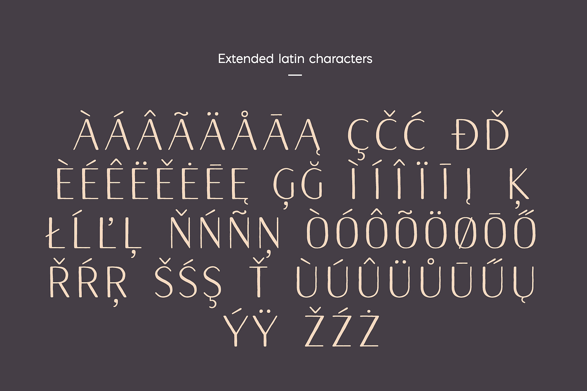 Naive Sans Medium & Shake, a Handwritten Font by S&C Type (Photo 4 of 6)