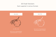 Fruit Garden Vector Illustrations, a Decorative Illustration by Emma Webb Studio (Thumbnail 2 of 7)