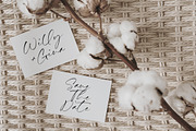 Hillary Nature Font, a Script Font by Timurtype (Thumbnail 2 of 7)