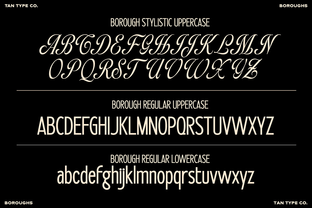 TAN - BOROUGHS, a Serif Font by TanType (Photo 8 of 10)