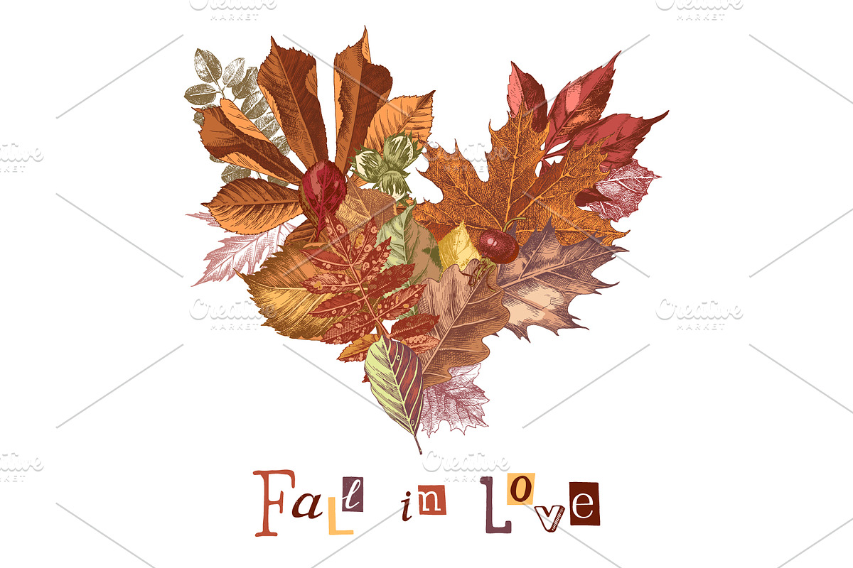 Fall in love - seasonal collection, an Object Illustration by handsketched (Photo 8 of 10)