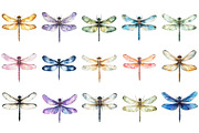 Dragonfly Clipart Bundle, an Illustration by Designking (Thumbnail 3 of 5)