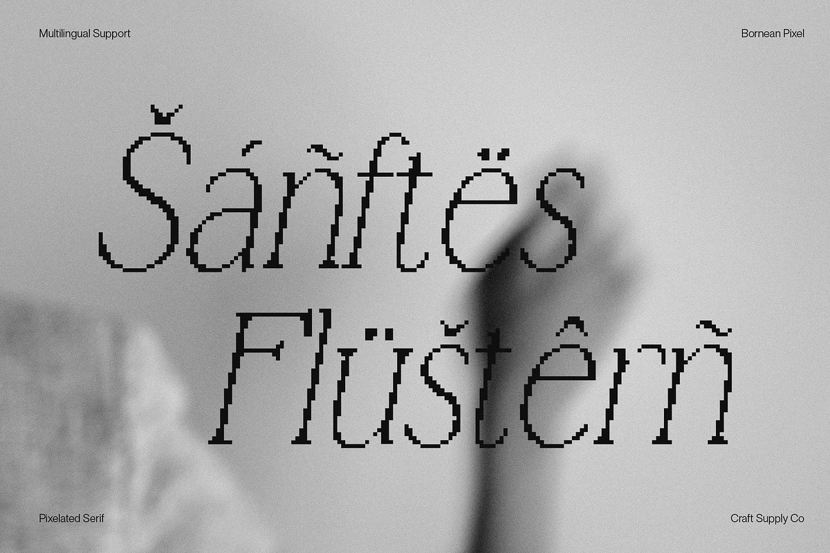 Bornean Pixel, a Serif Font by Craft Supply Co. (Photo 6 of 8)