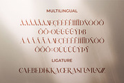 Xerina || Modern Serif Font, a Serif Font by Idea Studio (Thumbnail 10 of 10)