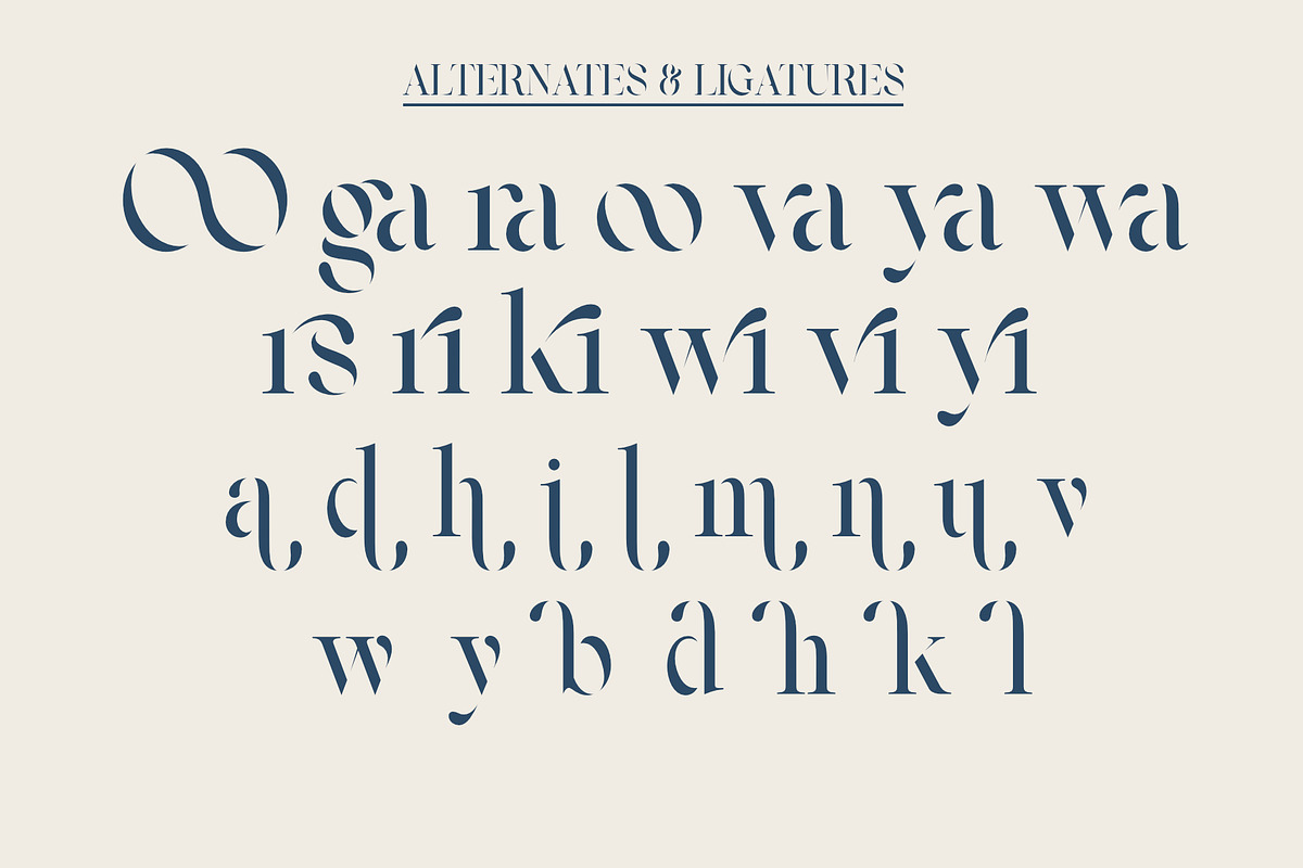 Vasmook, a Serif Font by Sealoung (Photo 15 of 15)
