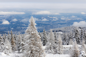 Austrian Alps and the forest on them, a Photo by Photo Kaminski