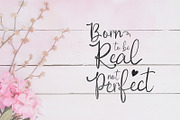 Rosemary Script! with Bonus!, a Script Font by Chocotype Std (Thumbnail 3 of 10)