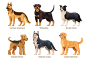 Dog Breeds Collection, an Animal Illustration by YG Studio (Thumbnail 4 of 5)