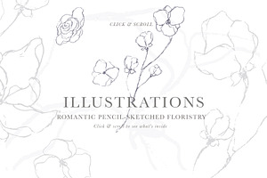 Graceful Floral Illustrations Bundle