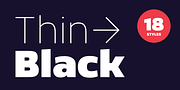 Dillan, a Sans Serif Font by TypeUnion (Thumbnail 13 of 14)