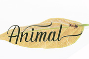 Bantiba, a Script Font by PollemSt (Thumbnail 5 of 8)