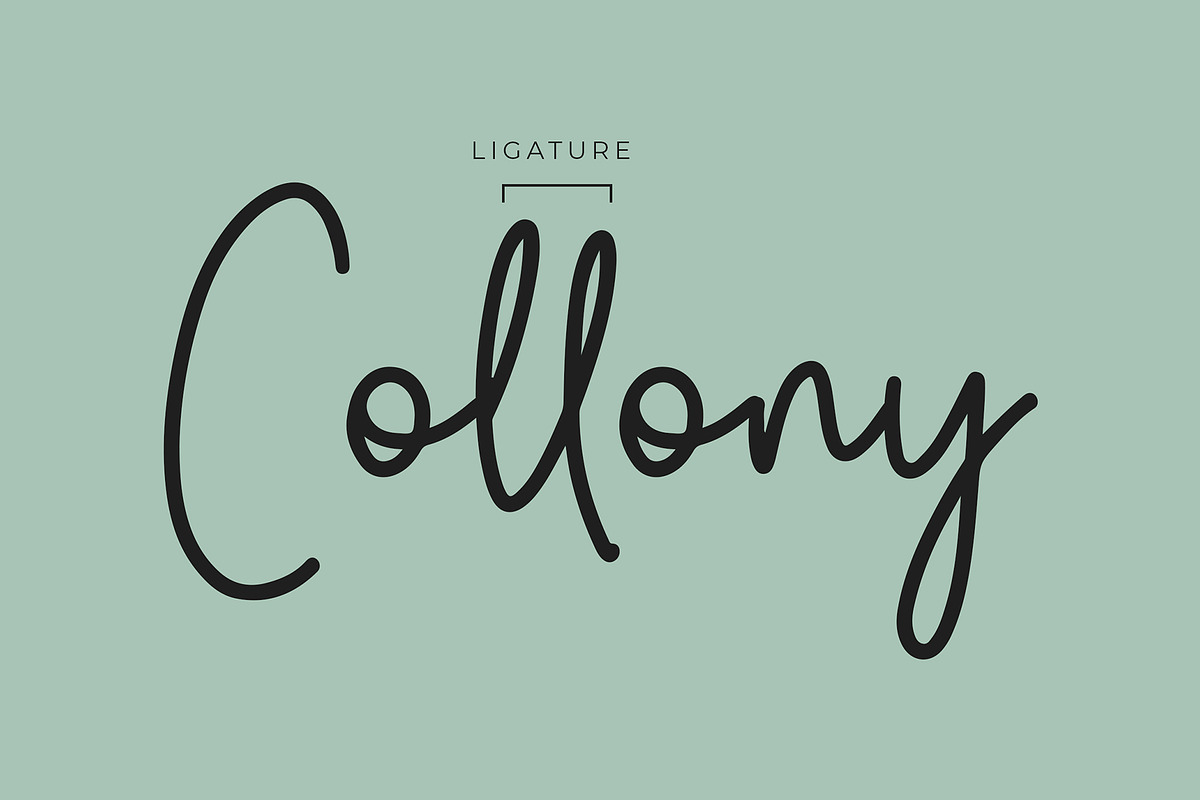 Autumn Fairy Signature Monoline Font preview 4