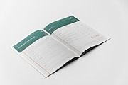 Startup Business Proposal Template, a Brochure Template by Andre28 (Thumbnail 11 of 12)